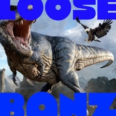 Loose Banz Freestyle