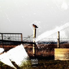 Gliding [Concrete Jungle]