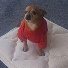 I just wanna go home