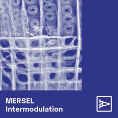Premiere: Mersel - Merged waves