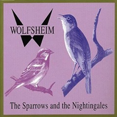 Wolfsheim - The Sparrows And The Nightingales (Henning Sommerfeld Projekt Edit)