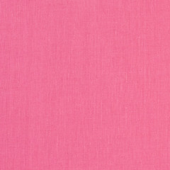Princess Bubblegum