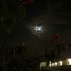 ‎🤍⁨"في وسط ليلي لمحتك ضي أقماري"⁩