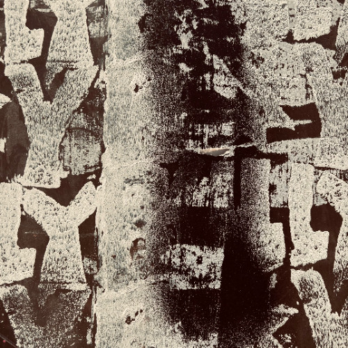 Appetite For Selection 225 - Charles Webster