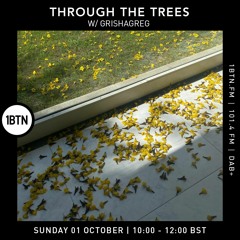 Through the Trees with Ty ft. Grishagreg - 01.10.23