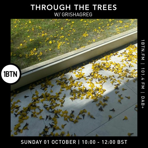 Through the Trees with Ty ft. Grishagreg - 01.10.23