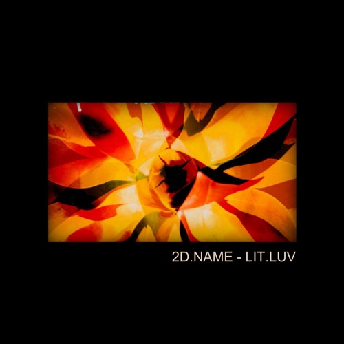 2D.NAME - LIT.LUV