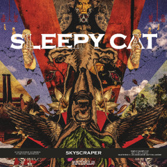 Premiere: Sleepy Cat "Church" - Rituals