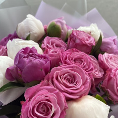 Акула - Ради тебя