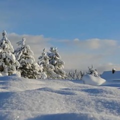 Winterland