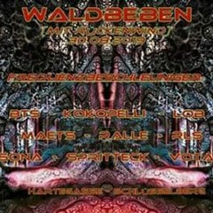 Dj R.L.S. @ Waldbeben mit Rückenwind Free O.A. 30.08.2019