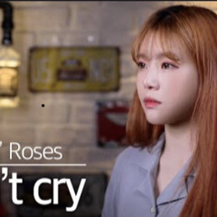 Don't Cry - Gun N' Roses coverBubble Dia