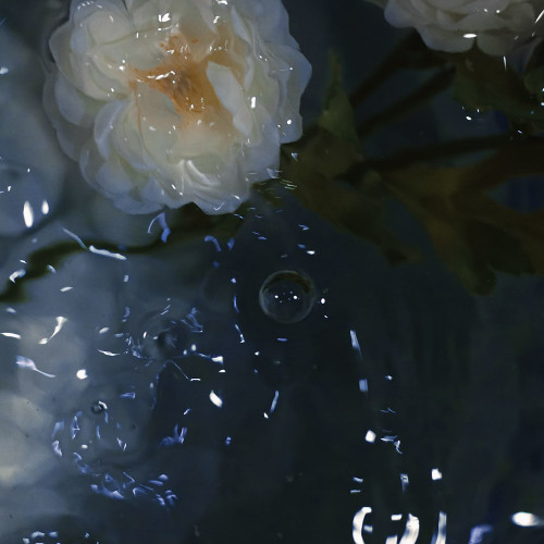 Hoshifuruyoru [visuals in description]
