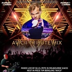Avicii Tribute Mix