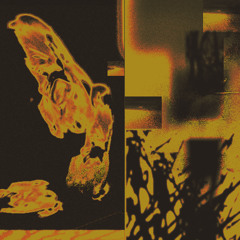 Sebaas - Generative Chase