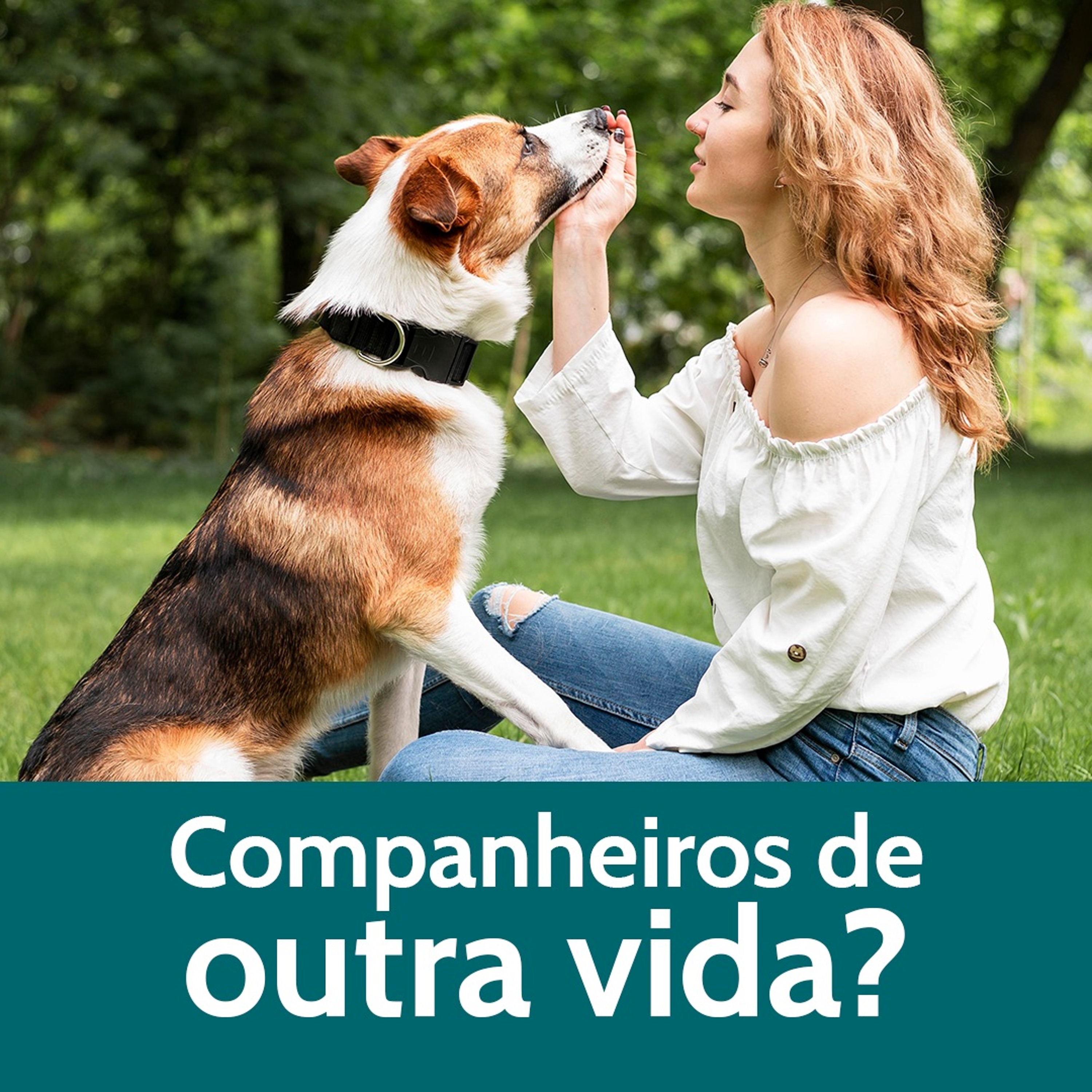 Já tivemos outras vidas com nossos companheiros animais não-humanos? episode artwork