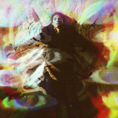 wallflower :digitalsleeper