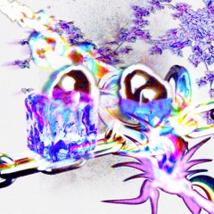 whereismike x niklvs x xenr11 - kiire