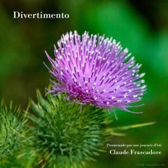 Divertimento