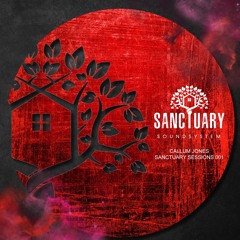 Sanctuary Sessions 001 | Callum Jones