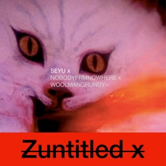 ZUNTITLEDx FT. NOBODYFRMNOWHERE x WOOLMANGRUNDY Prod. SEYU