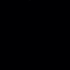side(demo)