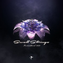 Chilled EDM