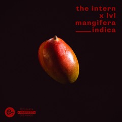 the intern & lvl - mangifera indica (feat. The Pinch on flugelhorn)