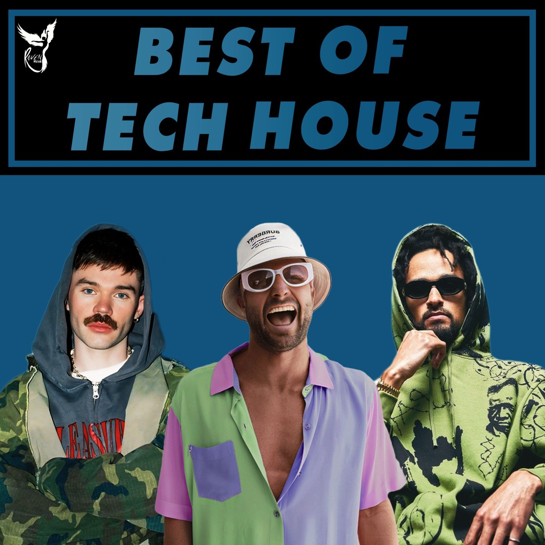 Stream Raven Musik | Listen to Best Tech House 2025 playlist