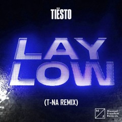 Tiësto - Lay Low (T-NA Remix)