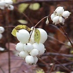 good girl good guy prod. floorish