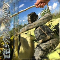 Tentacity 05/23 by Ida Elastix