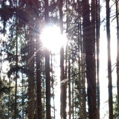 Licht-und-Schatten