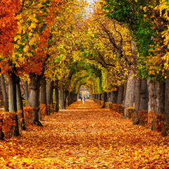 october