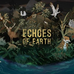 Echoes Of Earth Festival Trailer Soundtrack