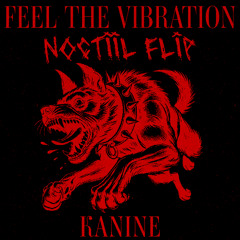 Kanine - Feel The Vibration (NOCTIIL Flip)