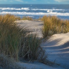 Langeoog 02 - 2024