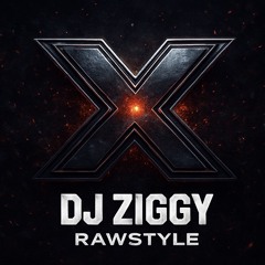 DJ ZIGGY - X [RAWSTYLE]