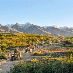Review Special Price 2.5-Hour Denali Wilderness Atv Adventure Tour