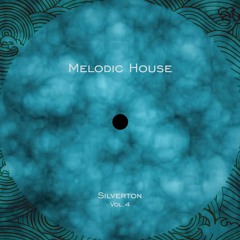 Melodic House & Techno vol.4
