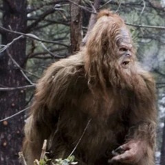 Bigfoot.mp3