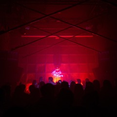 COBRA @ PARK IT HERE - PRST CLUB - 20/02/25