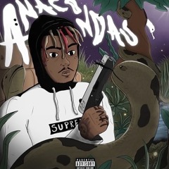 anacondas