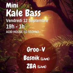 Mini Kale Bass (House)
