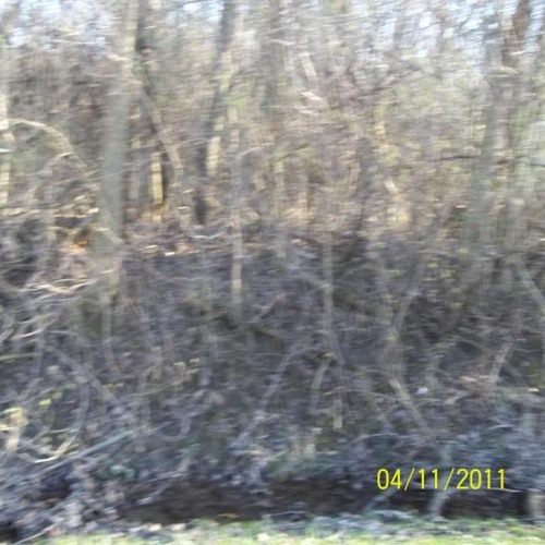 #ILOVEHOTWOMEN(ciro)