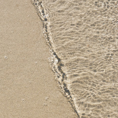 swim