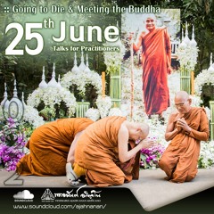 Going To Die & Meeting The Buddha | 25th June 2022 | Ajahn Anan Akiñcano