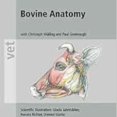 FREE KINDLE 📫 Bovine Anatomy (Vet (Schlutersche)) by Klaus-Dieter Budras,Robert E. H