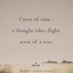 Curve Of Time - (naviarhaiku - 577)