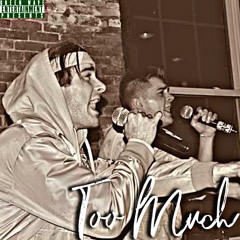 Too Much (SirTy, Zert)